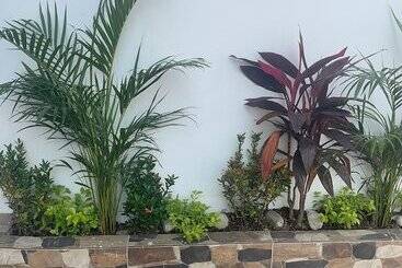 پانسیون Hostal Las Orquideas