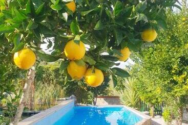 تختخواب و صبحانه The Far End Surf House Breakfast Included Eco Surf Villa 5 Km From Beach