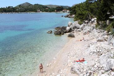 هتل Apartments And Rooms With Parking Space Mlini, Dubrovnik   8835