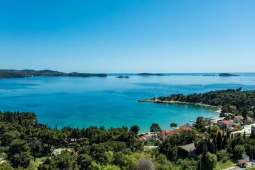 هتل Apartments And Rooms With Parking Space Mlini, Dubrovnik   8835