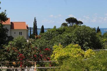 هتل Apartments And Rooms With Parking Space Mlini, Dubrovnik   8835