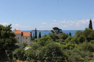 هتل Apartments And Rooms With Parking Space Mlini, Dubrovnik   8835