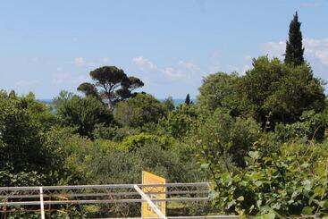 هتل Apartments And Rooms With Parking Space Mlini, Dubrovnik   8835