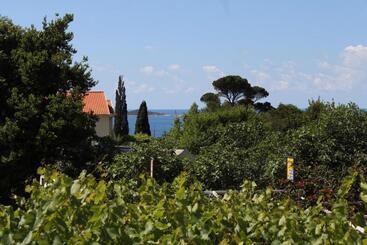 هتل Apartments And Rooms With Parking Space Mlini, Dubrovnik   8835