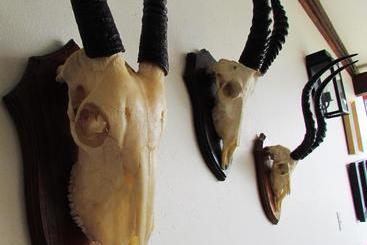 호텔 Buhala Game Lodge