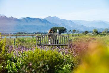 酒店 Sante Wellness Retreat & Spa