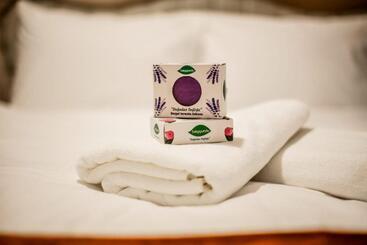 Rosa Therapy Butik Otel