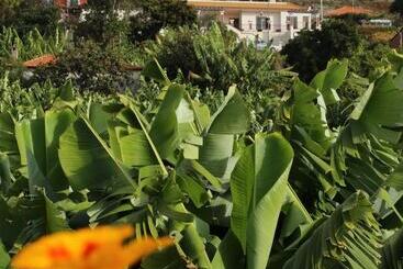 Vila Marta