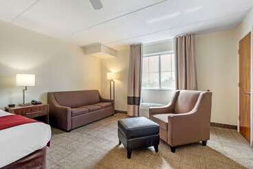 هتل Comfort Inn Kissimmee-Lake Buena Vista South