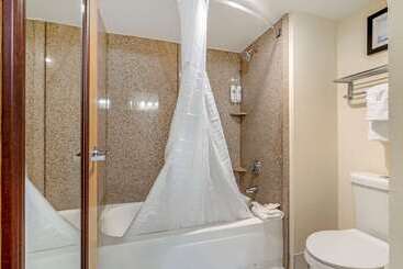هتل Comfort Inn Kissimmee-Lake Buena Vista South