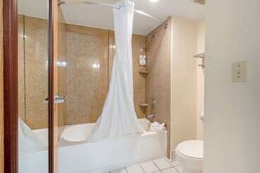 هتل Comfort Inn Kissimmee-Lake Buena Vista South