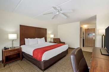 هتل Comfort Inn Kissimmee-Lake Buena Vista South
