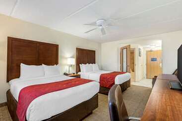 هتل Comfort Inn Kissimmee-Lake Buena Vista South