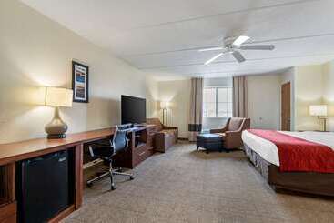 هتل Comfort Inn Kissimmee-Lake Buena Vista South