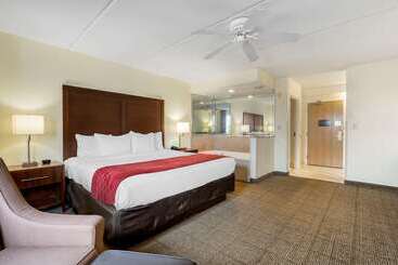 هتل Comfort Inn Kissimmee-Lake Buena Vista South