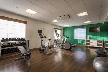 Holiday Inn Express Hotel & Suites Reading, An Ihg