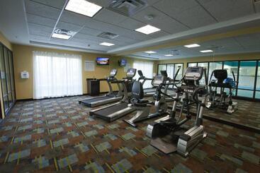 هتل Holiday Inn Express And Suites Detroit North Troy, An Ihg