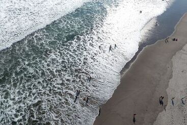 Las Hojas Resort & Beach Club