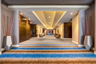 هتل Hilton Panama