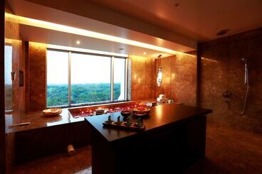 酒店 Park Hyatt Chennai