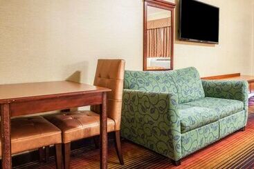 هتل Rodeway Inn