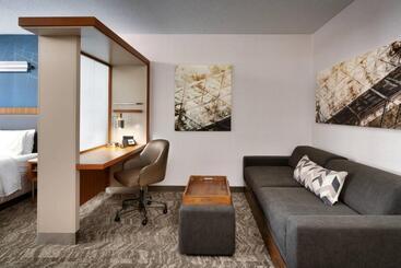 هتل Springhill Suites By Marriott Provo