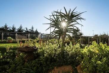 Hotel Verde Cape Town Airport