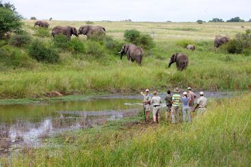 هتل Kapama Private Game Reserve - Kapama Southern Camp
