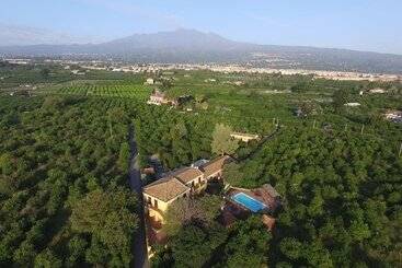 La Terra Del Mezzo