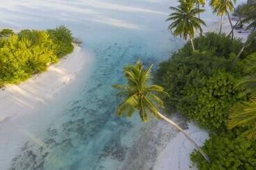 هتل Rahaa Resort Maldives