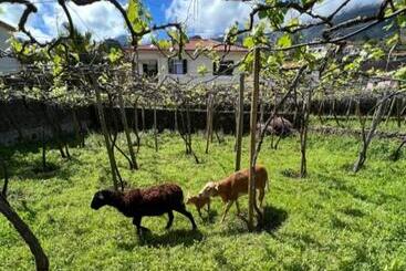 هتل Quinta Vale Vitis