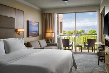 هتل The Westin Ka Anapali Ocean Resort Villas North