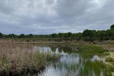 پانسیون Herdade De Alagães