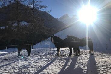 تختخواب و صبحانه Au Pré Des Chevaux