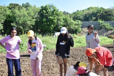 تختخواب و صبحانه Smyleinn Farm