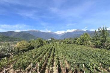 پانسیون Begaso Family Winery