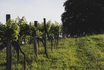 تختخواب و صبحانه Weingut Peter Grill