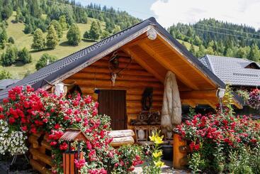 پانسیون Casa Baciu