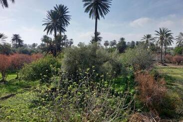 پانسیون Dar Seddik