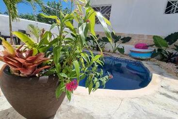 پانسیون Unique And Quiet Apartments La Botánica Tropical