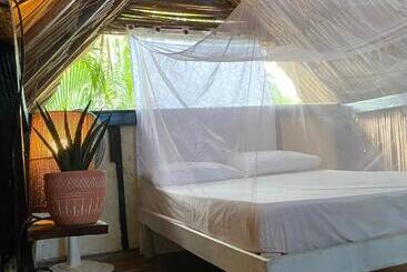 تختخواب و صبحانه Bonita Hostel
