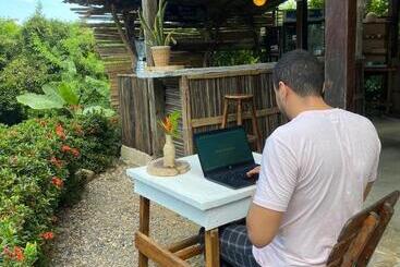 تختخواب و صبحانه Bonita Hostel