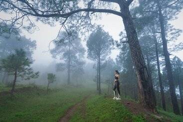 Cassia Resort, Kasauli