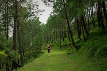 Cassia Resort, Kasauli