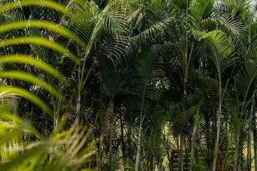 Paramount Riverfront Resort & Spa, Karjat