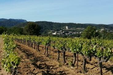 تختخواب و صبحانه Au Villadior   Vaison La Romaine