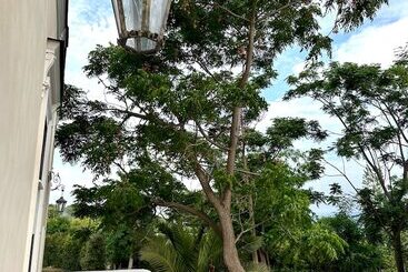 تختخواب و صبحانه Villa De Cillis Carafa