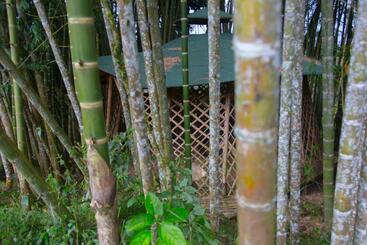 استراحتگاه Riverside Ecoliving Space