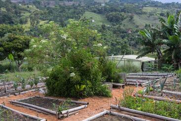 استراحتگاه Riverside Ecoliving Space