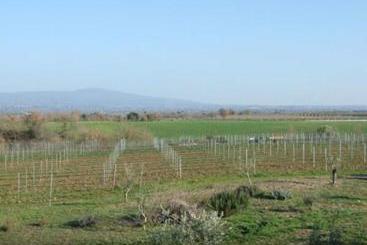 Agriturismo Il Marrugio
